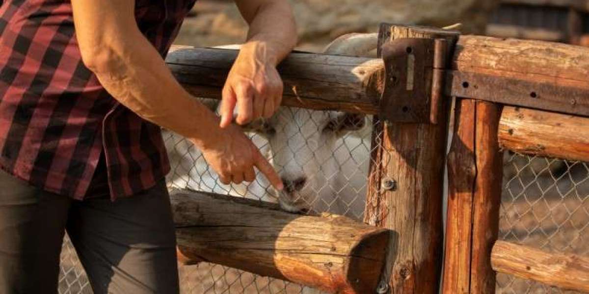 Wood Fence Cost Calculator for Simple and Accurate Project Estimates