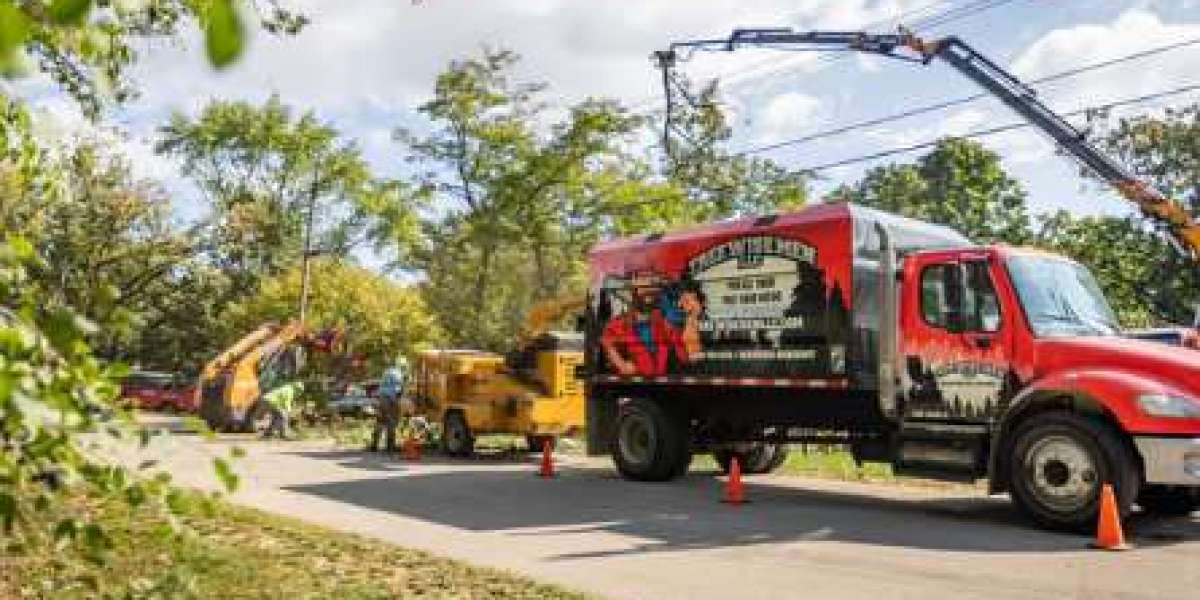 Why Professional Tree Removal Matters for Southern Wisconsin Properties
