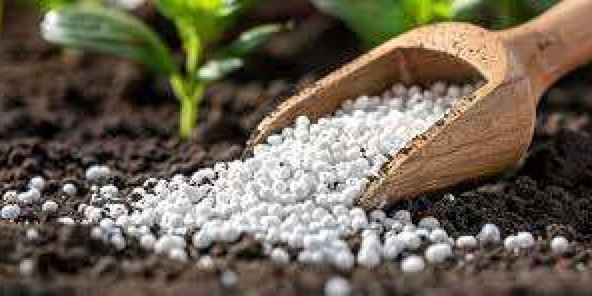 Cost-Effective Ways to Buy Plant Nutrients in Bulk