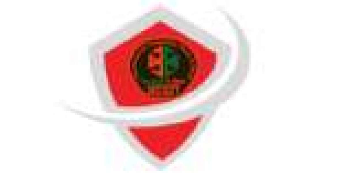 Premium Security Services: Ensuring Maximum Protection in a High-Risk World