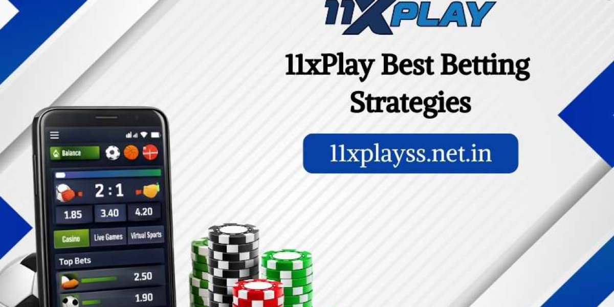 Beginner-Friendly 11xplay Guide With Useful Tips