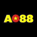 AO88 Build
