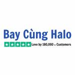 haloguys vietnam