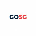 GO SG CONSULTING