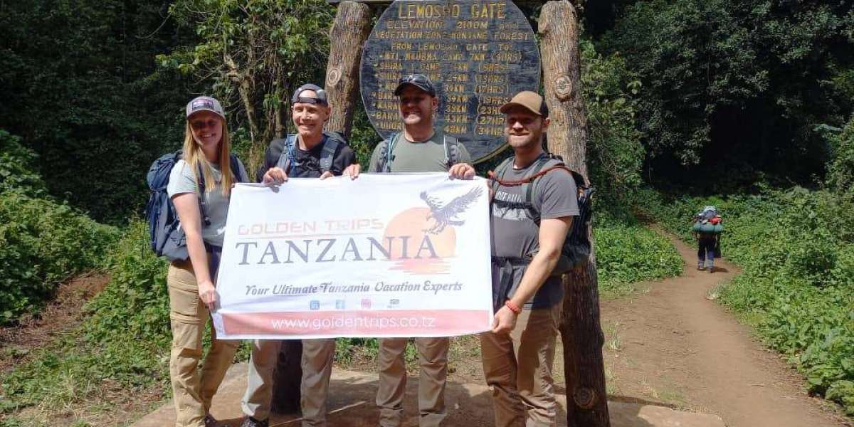 Serengeti National Park Safari – Discover the True Spirit of Africa