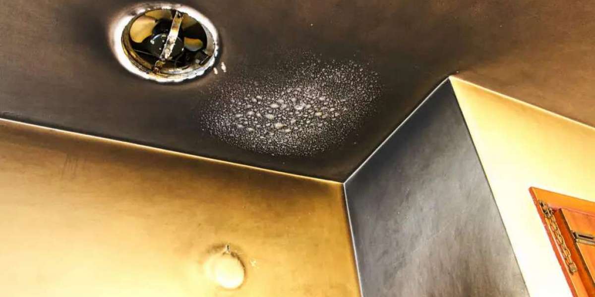 Fast Recovery with Professional Fire Damage Restoration Service