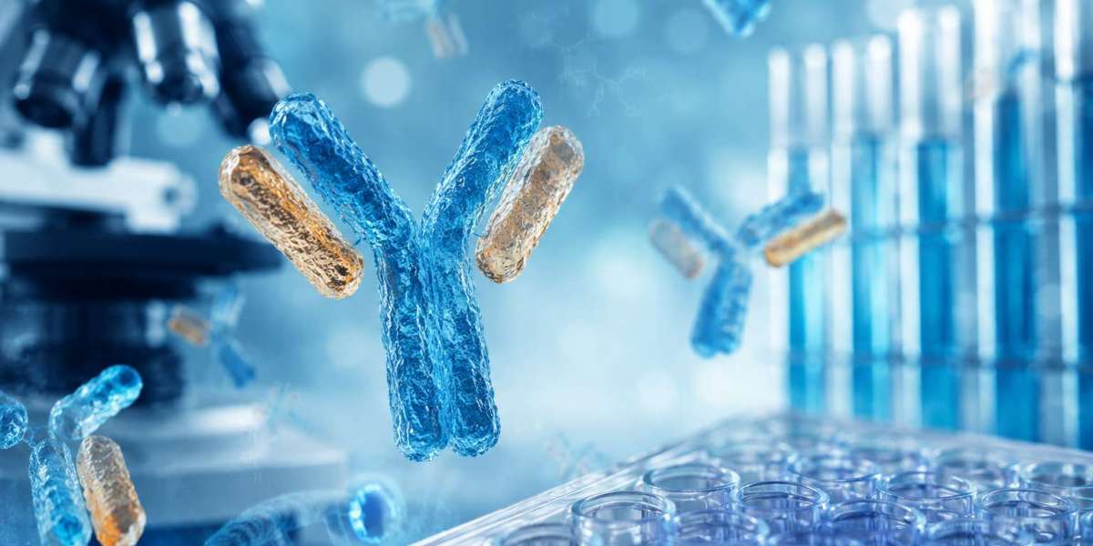 How Custom Antibody Discovery Supports Modern Cancer Research
