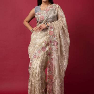 cream Tissue organza fancy sequins handwork saree Profile Picture