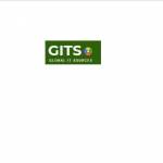 global it sources