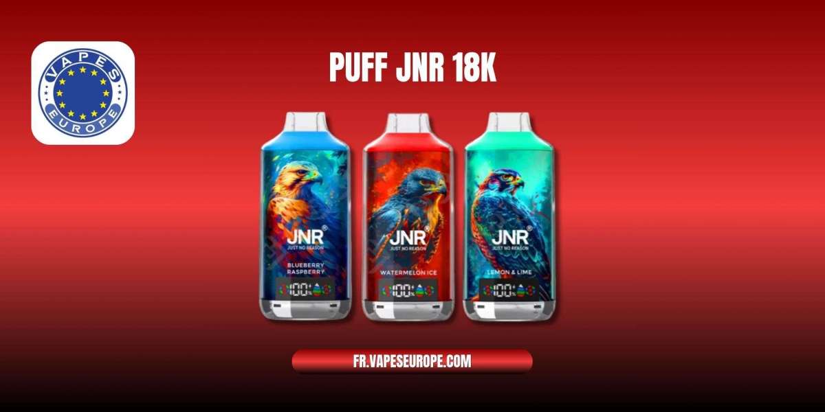 Puff JNR 18K : Découvrez la Performance du JNR Falcon X 18000