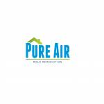 Pure Air Mold Remediation