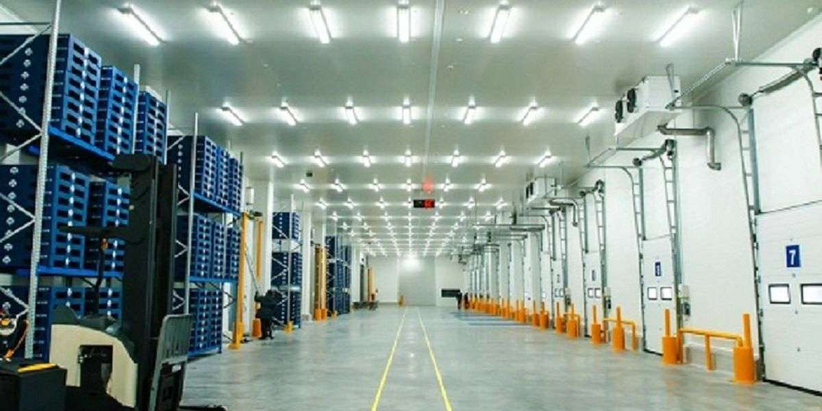 Temperature Controlled Warehouse in Dubai | Delight Box Move