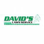 davidslawnservice