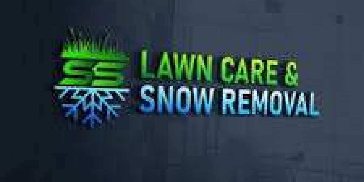 New Sod Installation at Mississauga – Professional Lawn Installation Services