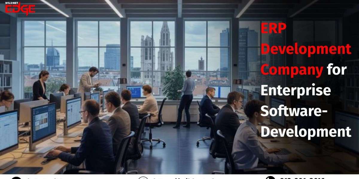 ERP Development Company for Enterprise Software-Development