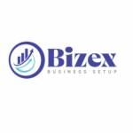Bizex LLC