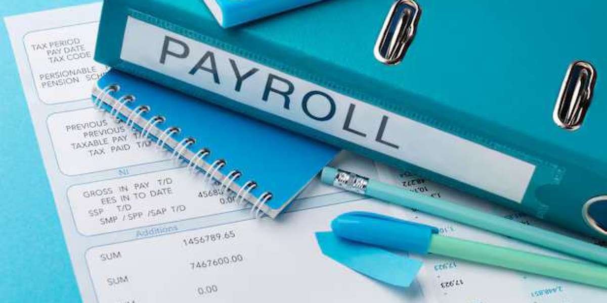 Benefits of Using Payroll Management Software for Growing Businesses