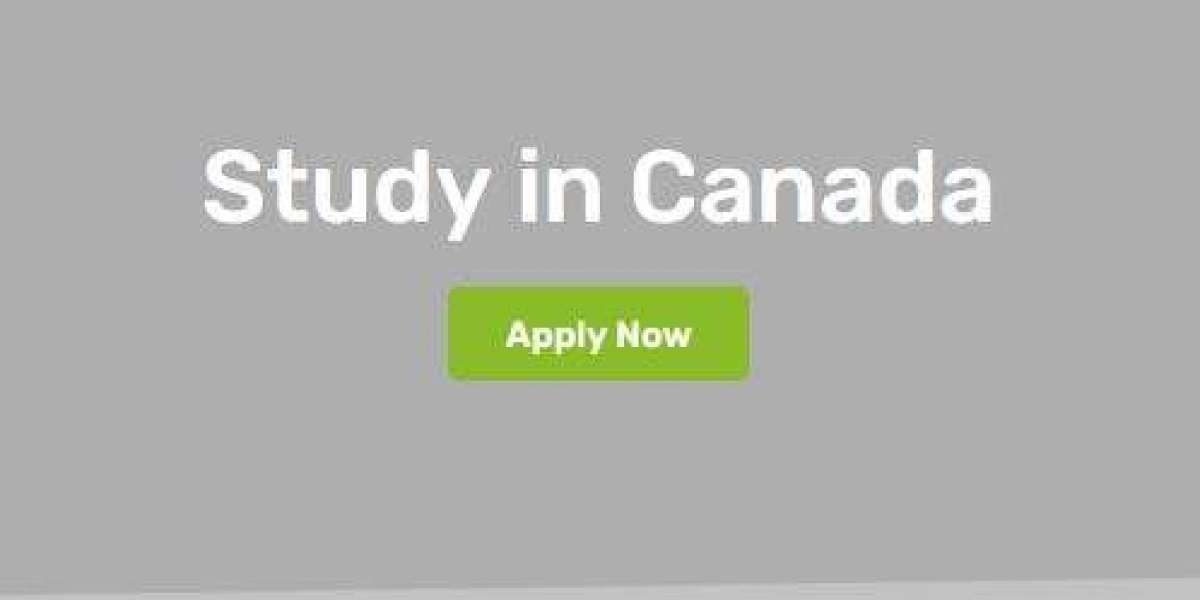 Study in Canada – A Complete Guide for International Students 