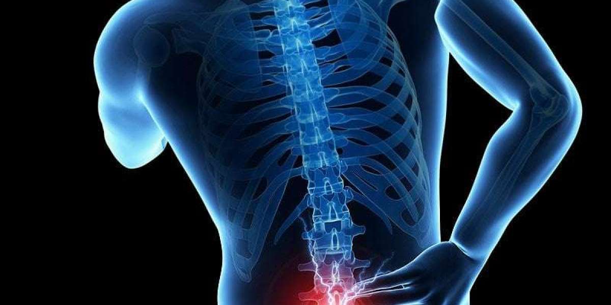 Heal Faster With Back Pain Doctor Hisar