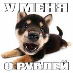 sdgsdfwe wsegwsefew
