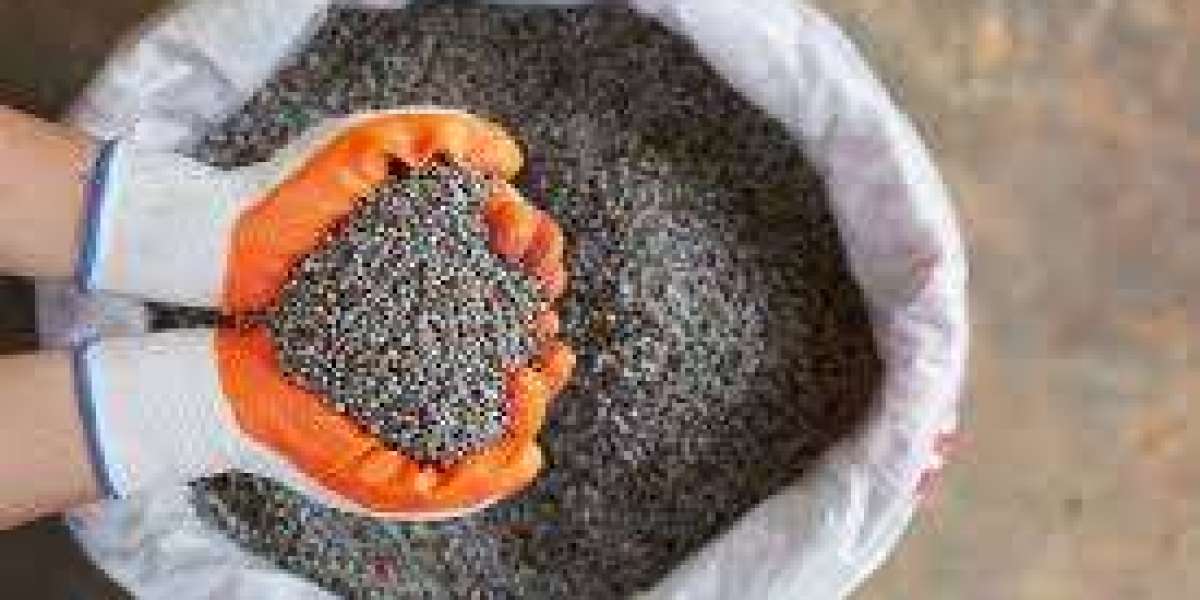 Errores Comunes al Comprar Nutrientes para Plantas y Cómo Evitarlos