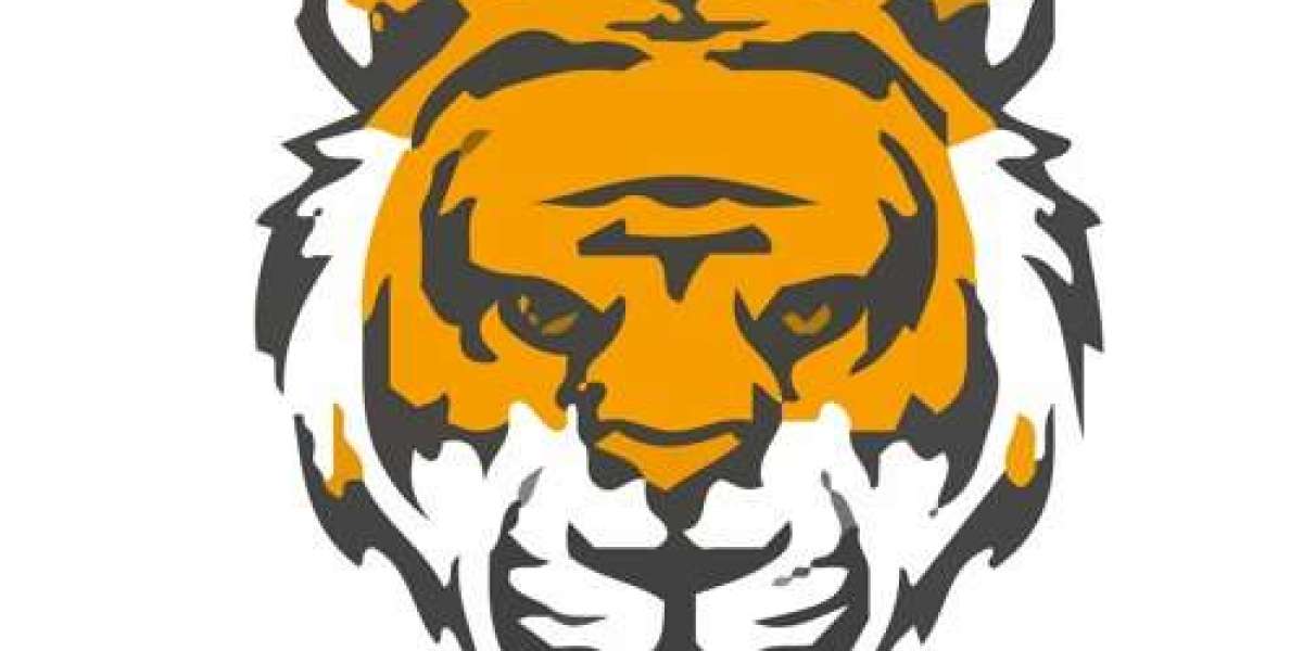 Tiger Exchange 365 Login App – Easy Guide for Online Cricket Fans