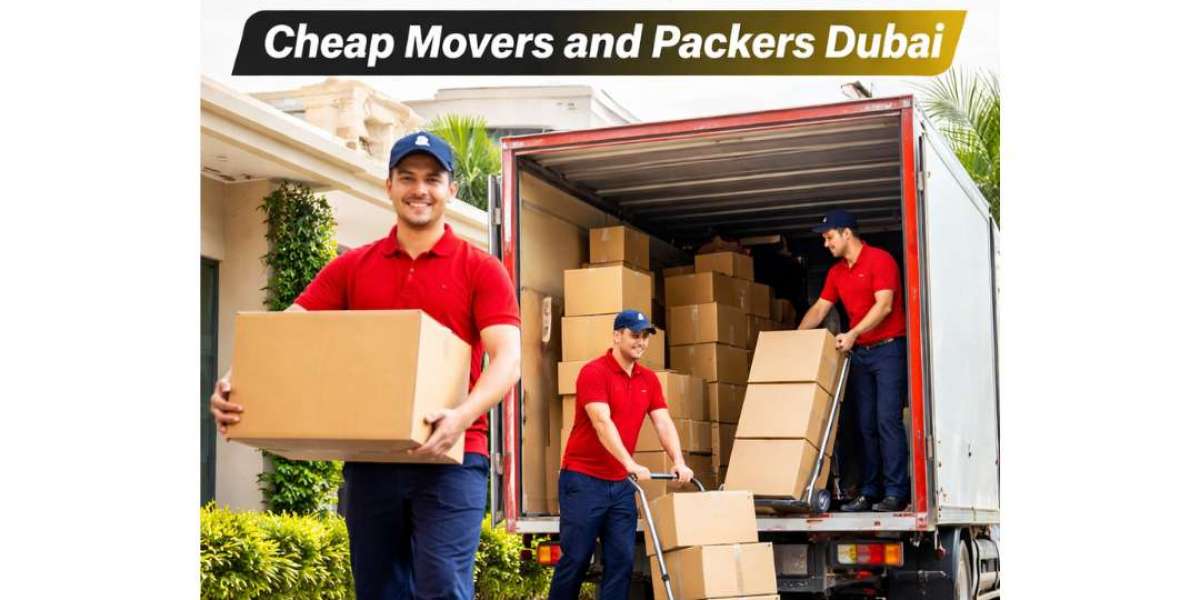 How Organized Moving Services Support Daily Life in Dubai