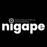 nigape socials