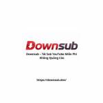 Downsub Tải Sub Youtube