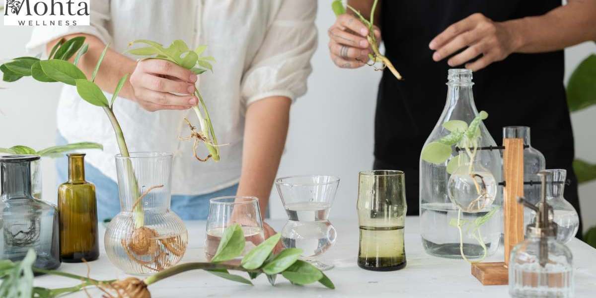 How Herbal Cosmetics Products Are Transforming the Beauty Industry