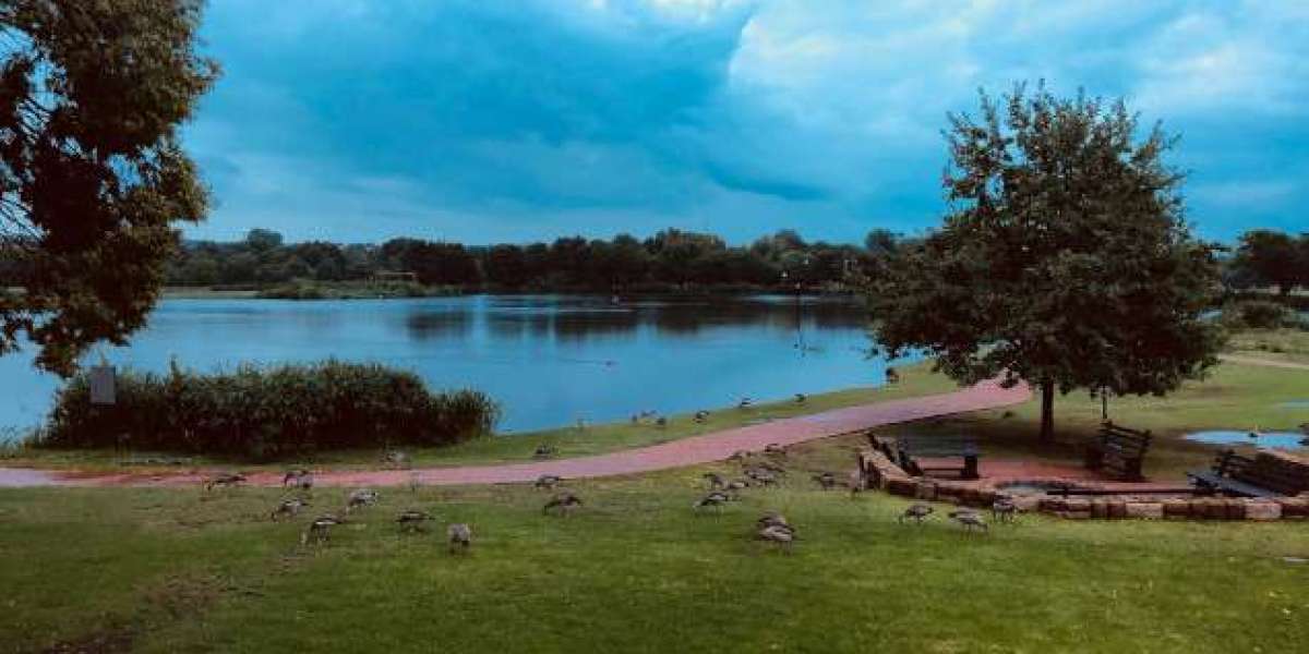 Johannesburg to Pretoria Travel Guide and Understanding When Does Summer Start in South Africa for the Perfect Holiday E