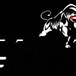 Prime Bull