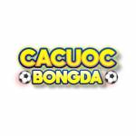 Cá cược bóng đá