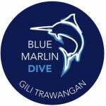 The PADI IDC Gili Trawangan Gili Islands Indonesia