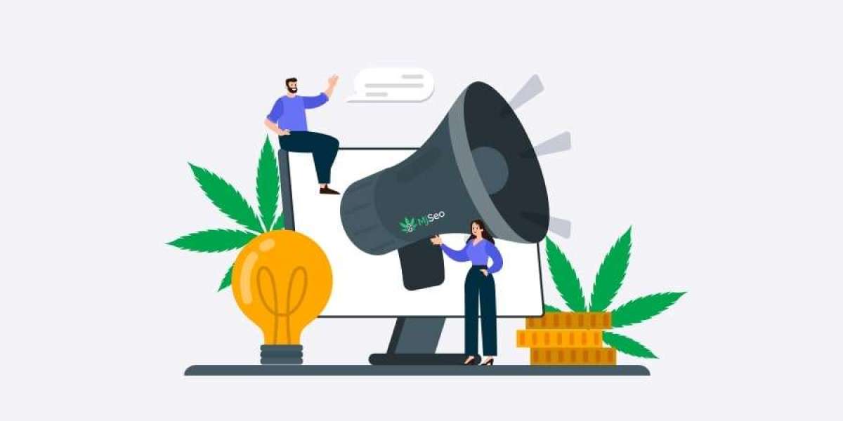 CBD Local SEO Texas Strategies for More Local Visibility