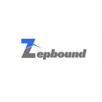 Zepbound Labs