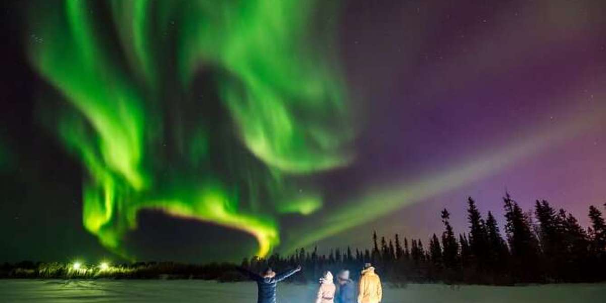 Unforgettable Northern Lights Trip Levi With Snow and Arctic Wonders