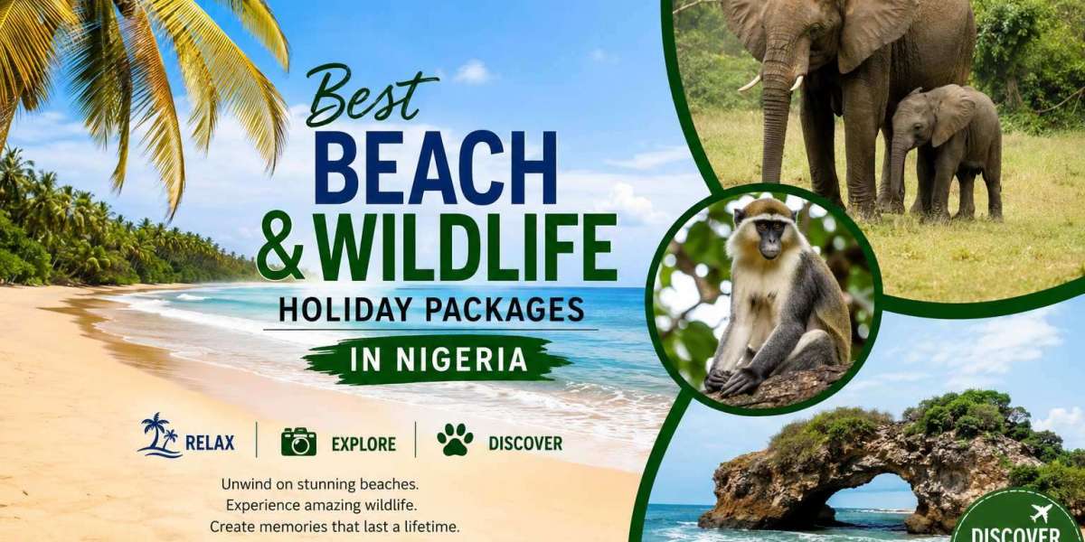 Best Beach and Wildlife Holiday Packages in Nigeria