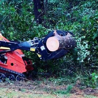 Trust Griffin Solutions for Safe Tree Removal Profile Picture