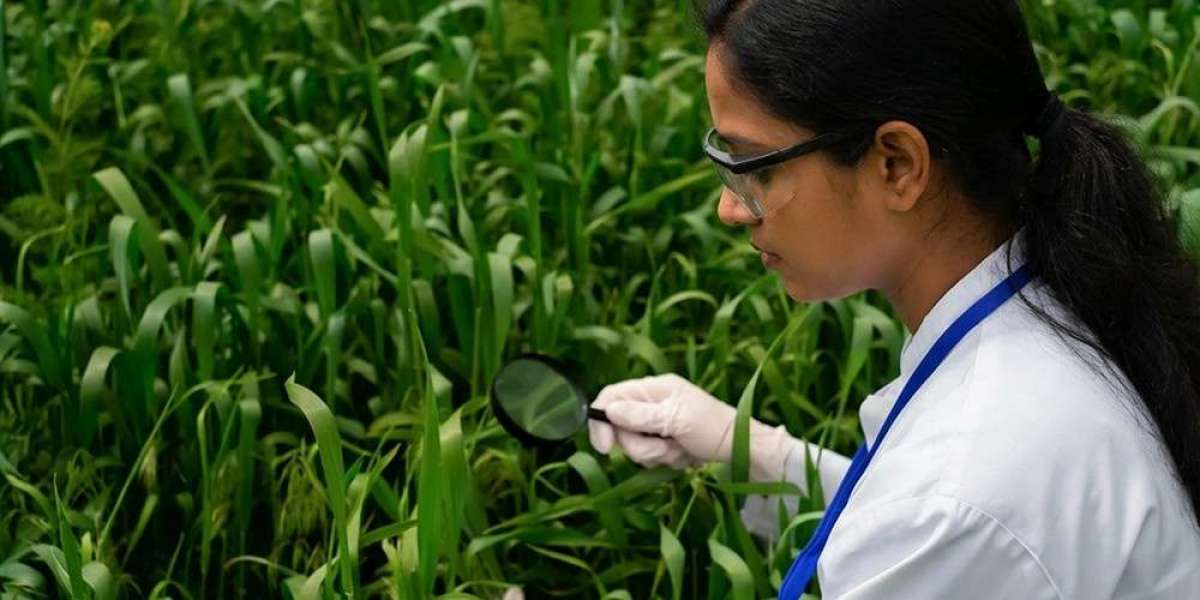 How Fungicide Manufacturers Are Helping Farmers Combat Unpredictable Weather