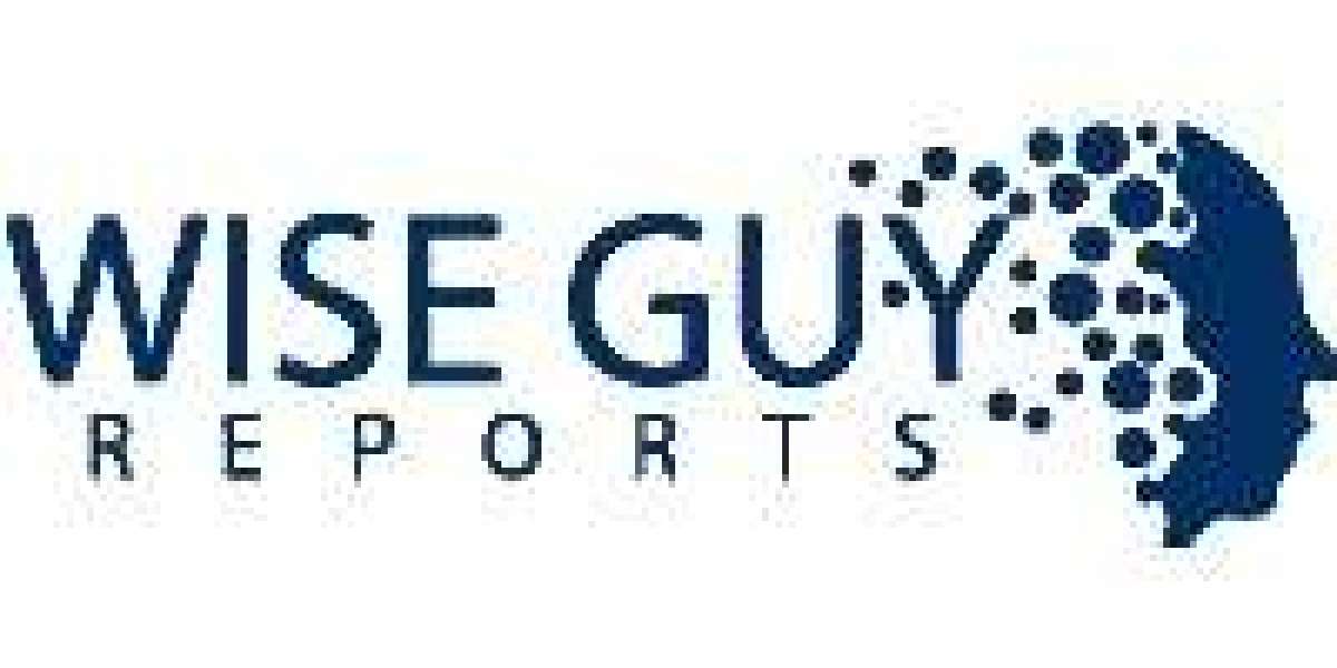 Dry Cider Market Growth Trends and Rising Premium Beverage Demand