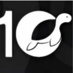 10turtle Global