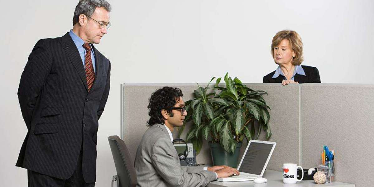 The Growing Importance of Custom Software Development Companies