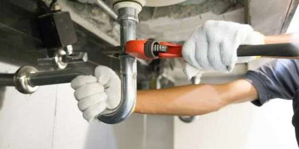 The Role of Professional Plumbers in Home Renovation Projects