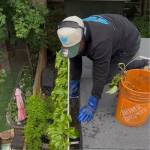 Gutter Cleaning Mississauga