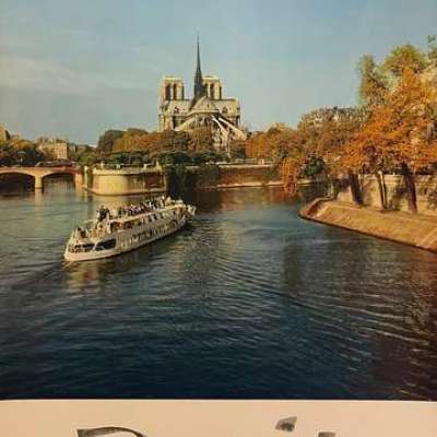 Paris - Notre Dame Profile Picture