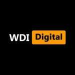 websitedeveloperindia