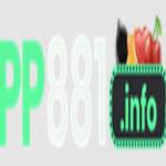 pp881 info