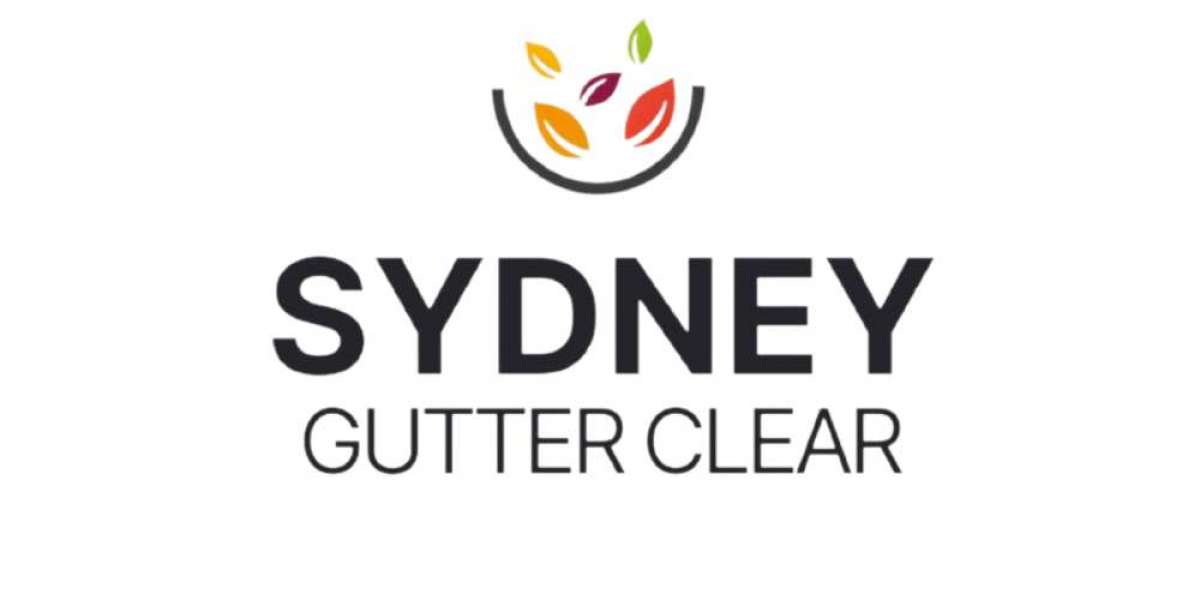 Why Professional Gutter Cleaning Sydney Services Are Essential for Every Property