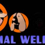 Doon Animal Welfare Trust
